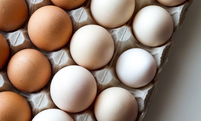 Diferença entre ovo branco e ovo vermelho